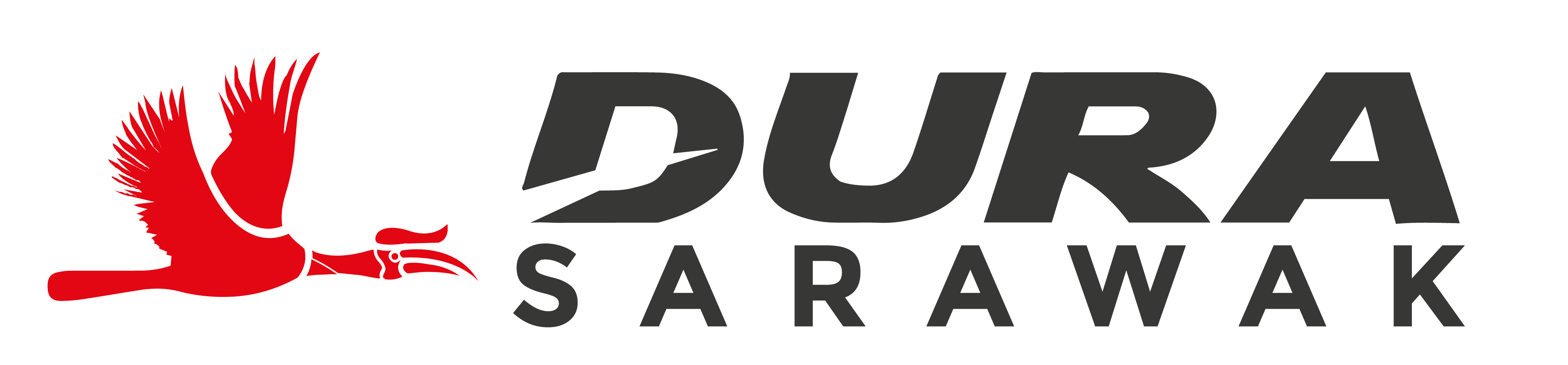 DS Black Logo